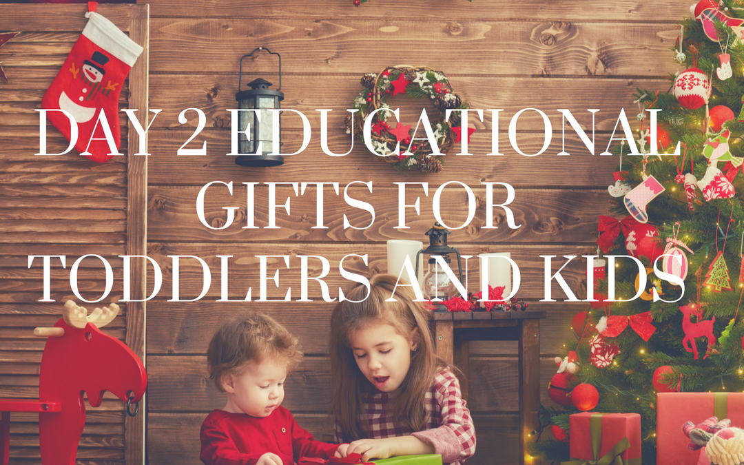 Best Toddler Gifts(top educational)