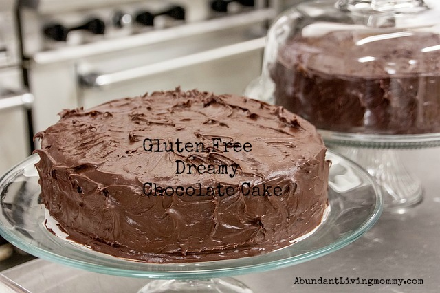 Gluten Free Dreamy Chocolate Cake